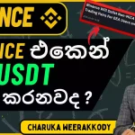 Stable Coins වල වඩාත් ආරක්‍ෂිත USDT ද? USDC ද? | EU හි MiCA regulation එක ගැන| Binance