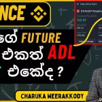 What is Auto-Deleveraging (ADL) in Binance Futures? - Explained - Sinhala