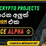 Binance Alpha Explained | Sinhala