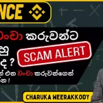 මේ වංචා වලින් ප්‍රවේශම් වන්න | How to use Binance Verify to avoid Scams